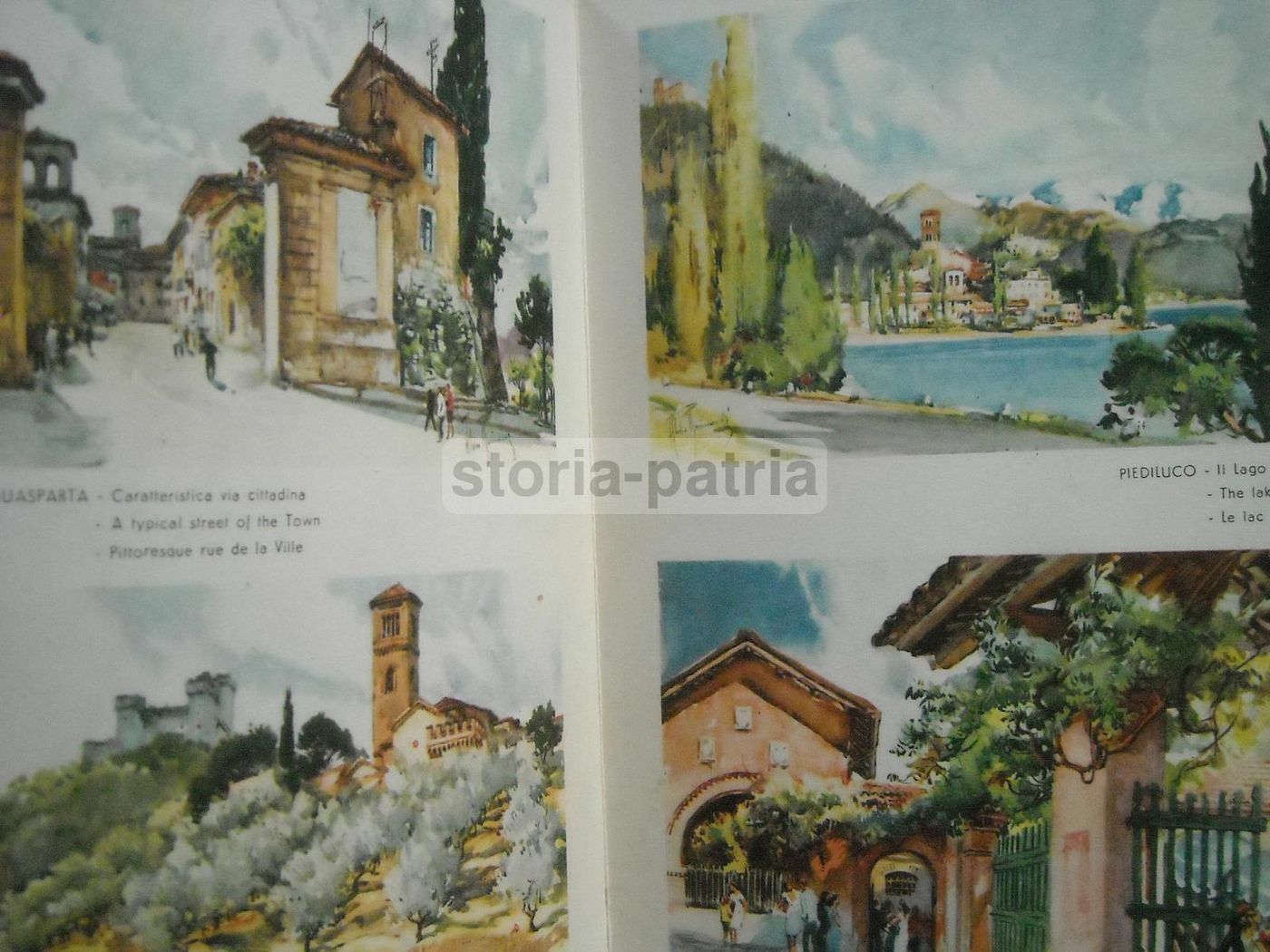 Guida Terni E Provincia, Illustrazioni Di Aldo Raimondi E Mappa Araldica, Alterocca Anni '50