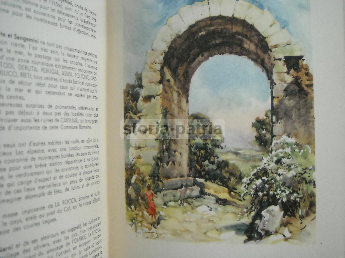Guida Terni E Provincia, Illustrazioni Di Aldo Raimondi E Mappa Araldica, Alterocca Anni '50