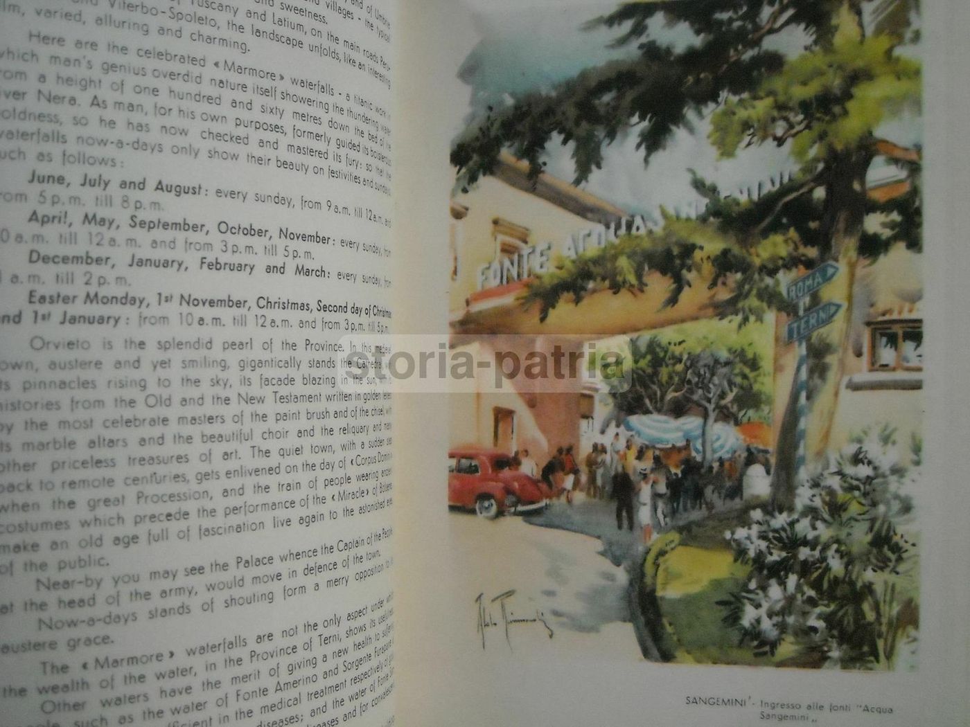 Guida Terni E Provincia, Illustrazioni Di Aldo Raimondi E Mappa Araldica, Alterocca Anni '50