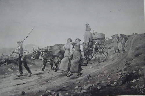 Vendemmia In Borgogna, Stampa Antica In Fototipia Da Aimé Perret