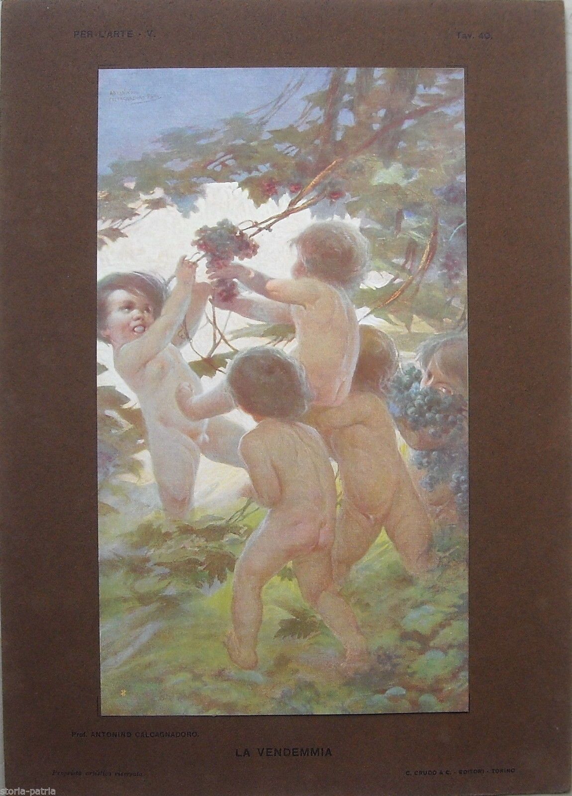 Antonino Calcagnadoro: La Vendemmia. Illustrazione d'Epoca (Rieti)