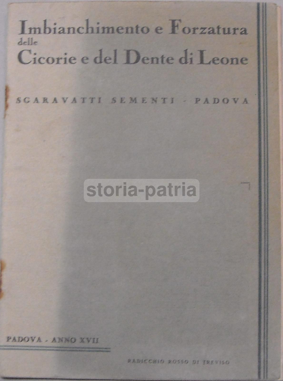 Imbianchimento E Forzatura Delle Cicorie E Del Dente Di Leone   Sgaravatti Padova