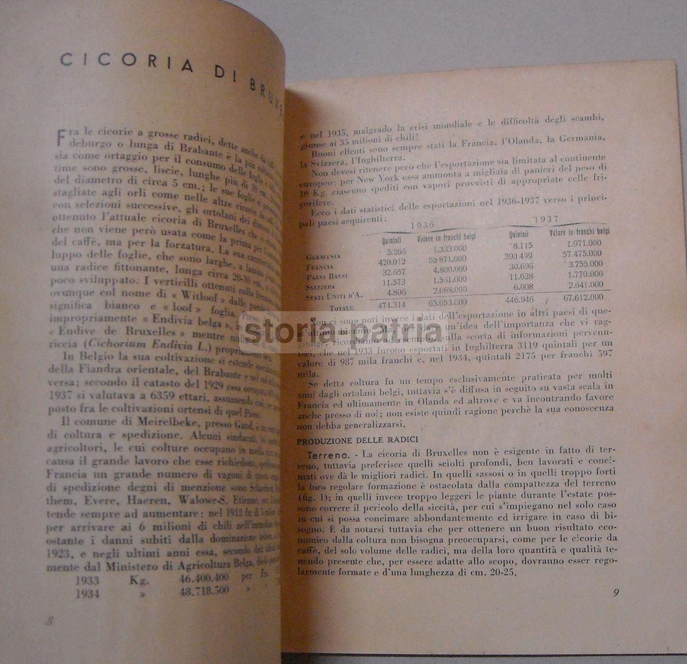 Imbianchimento E Forzatura Delle Cicorie E Del Dente Di Leone   Sgaravatti Padova