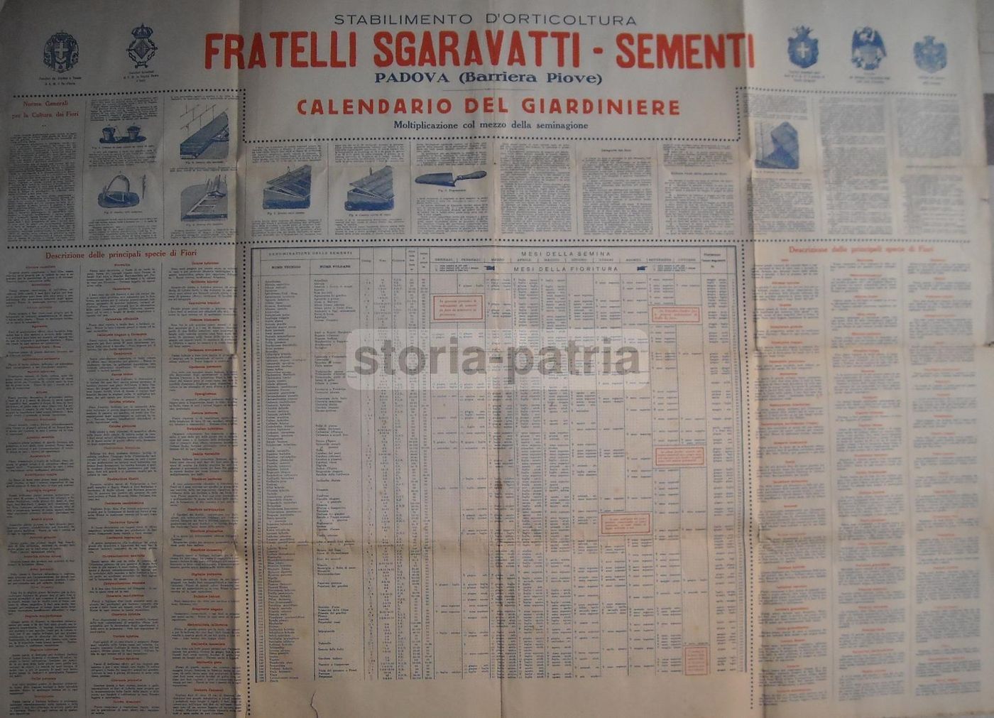 Manifesto Sgaravatti Calendario Del Giardiniere Padova Anni '20 '30
