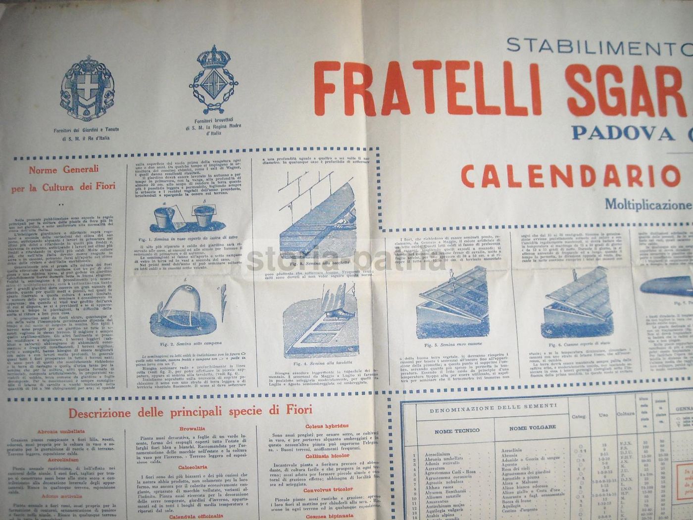 Manifesto Sgaravatti Calendario Del Giardiniere Padova Anni '20 '30