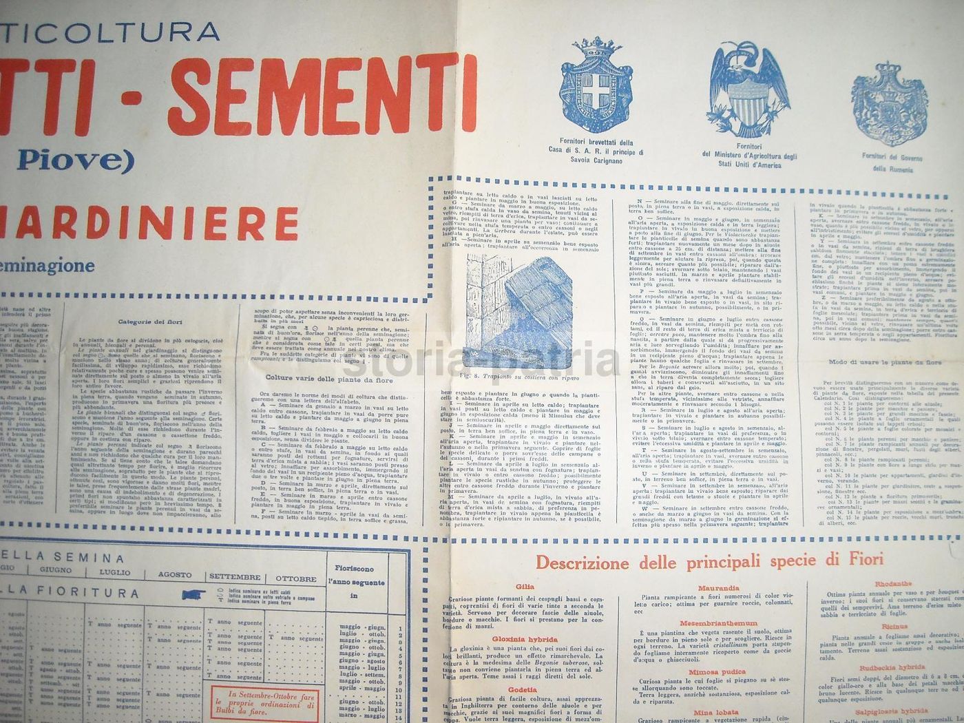 Manifesto Sgaravatti Calendario Del Giardiniere Padova Anni '20 '30