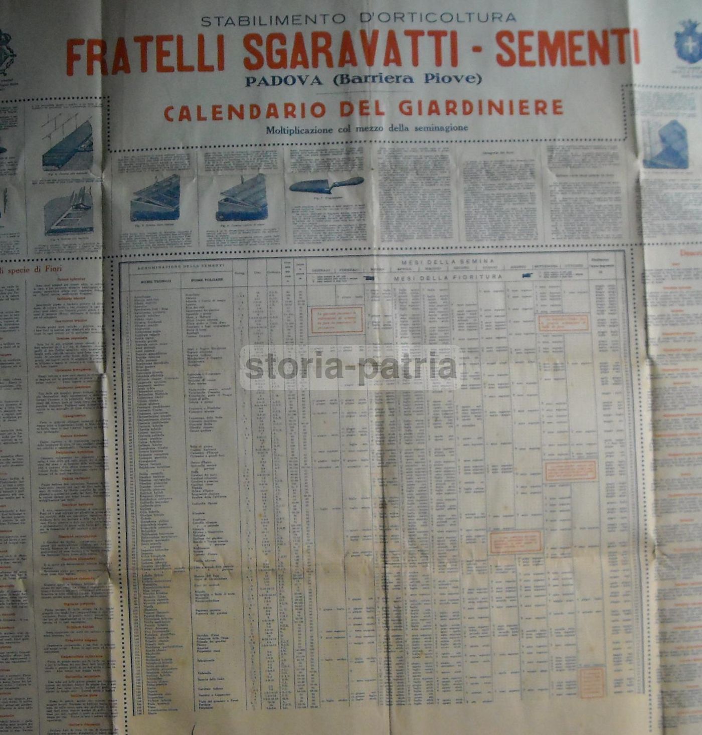 Manifesto Sgaravatti Calendario Del Giardiniere Padova Anni '20 '30