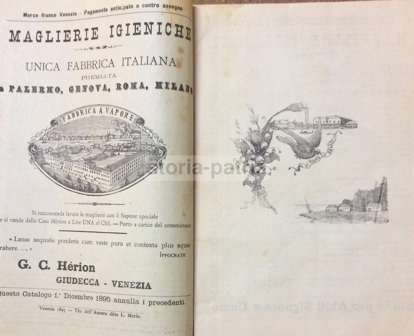 Catalogo Herion 1895, Maglieria Giudecca, Venezia, Abbigliamento