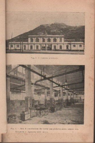 Manuale Di Ispezione Delle Carni Savarese 1913 Vallardi Genova