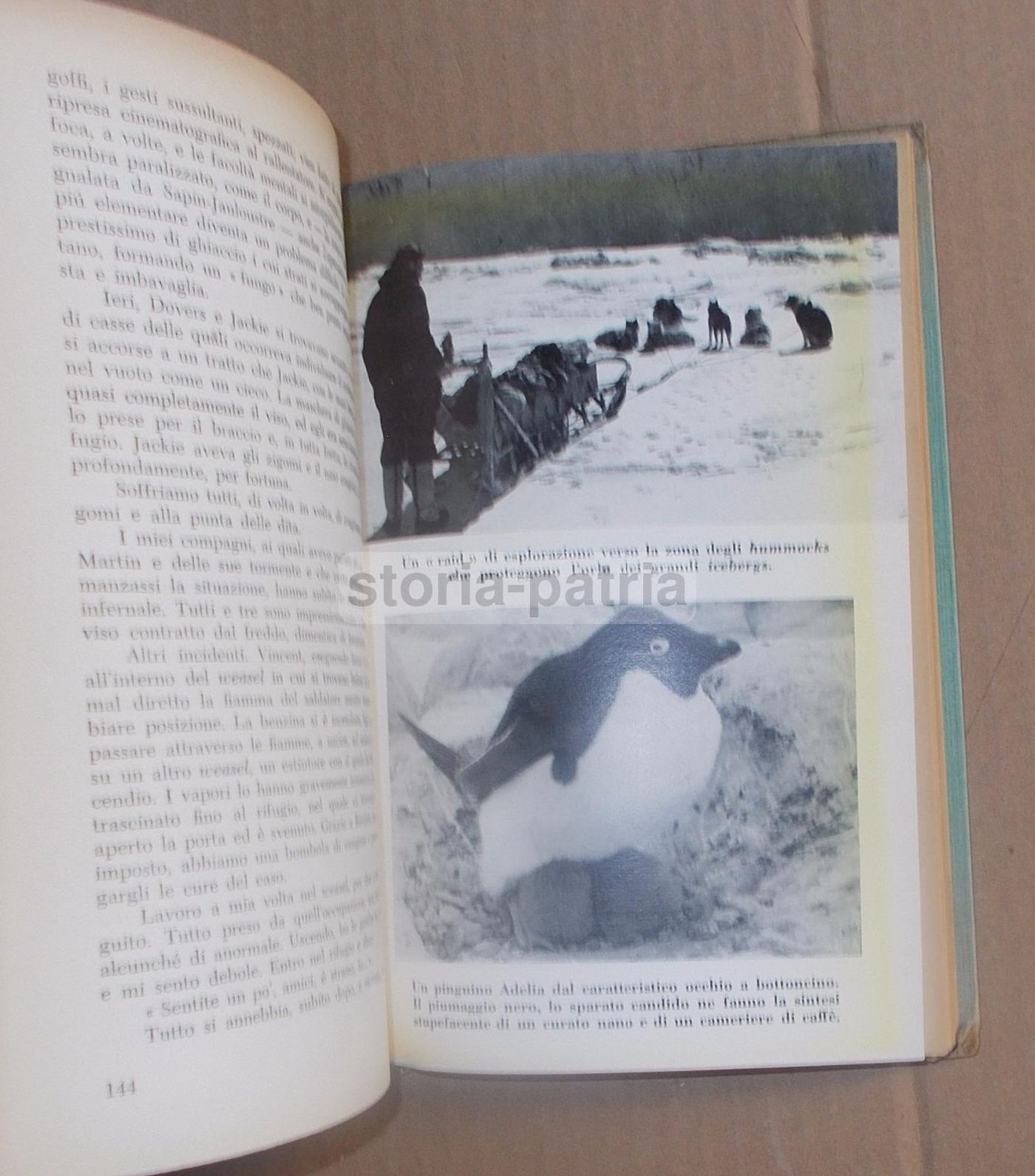 Sette Uomini Tra I Pinguini. Mario Marret. Bompiani, 1958. Prima Edizione.