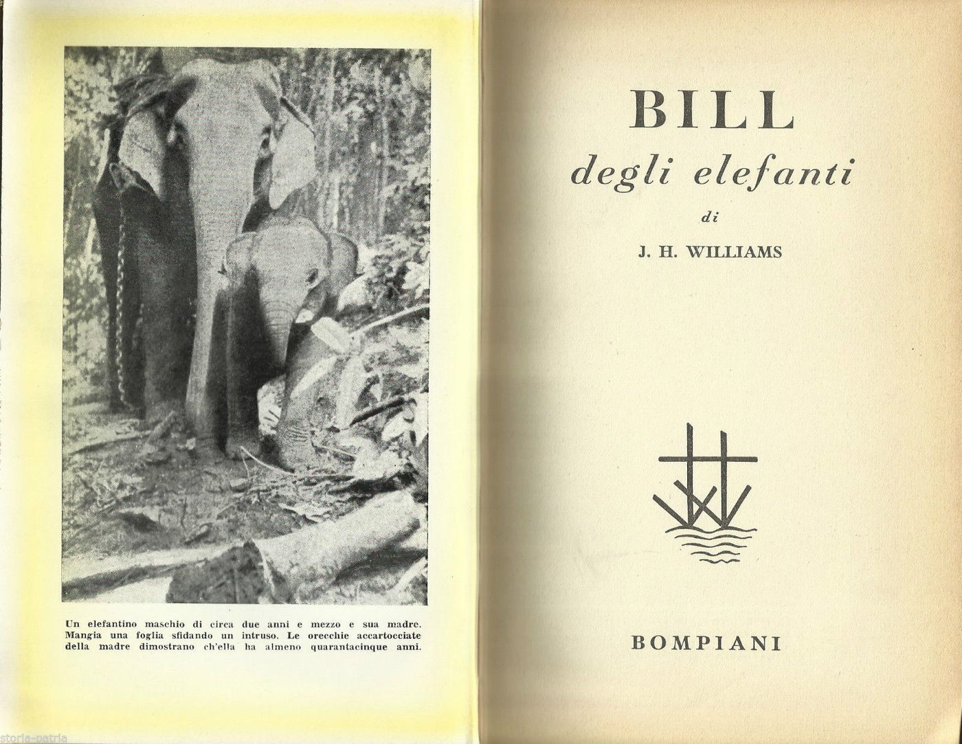 Bill Degli Elefanti Di J.H. Williams, Bompiani 1952