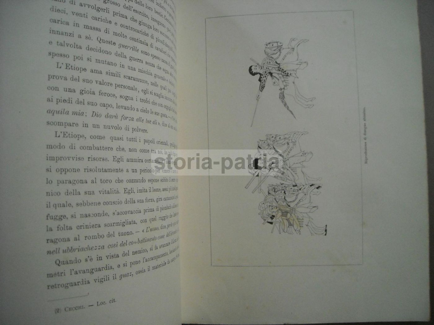 L'Esercito Abissino (1896) Di L. Sambon   Illustrato Da Dalbono E Terzi