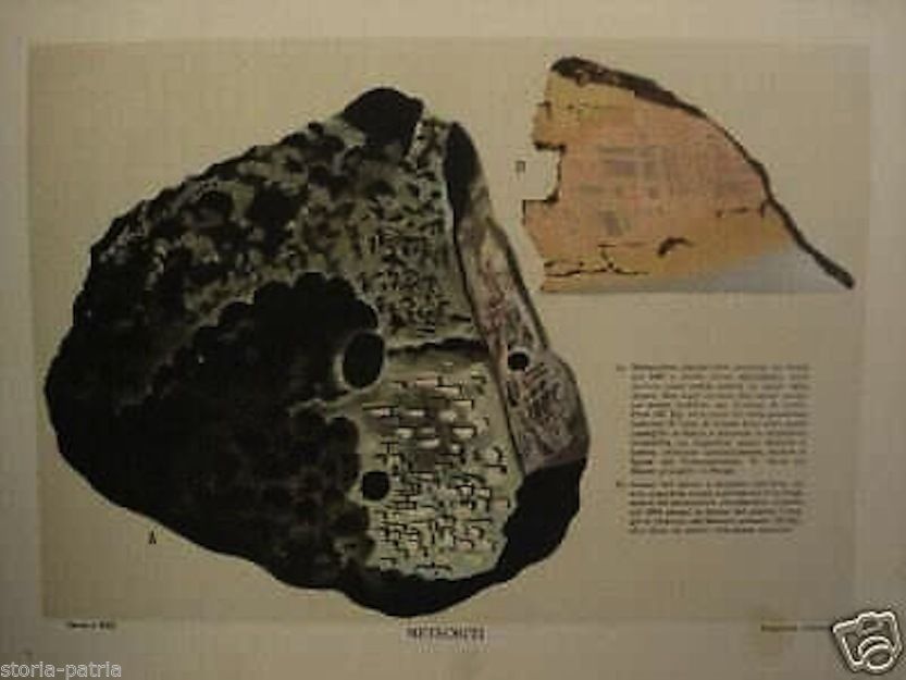 Storia Naturale, Ferruccio Rizzati, Vallardi, 1930, Zoologia, Geologia