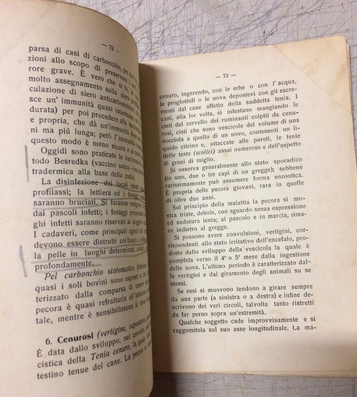 La Pecora Di A. Bartolucci (1928): Manuale Di Zootecnia E Veterinaria