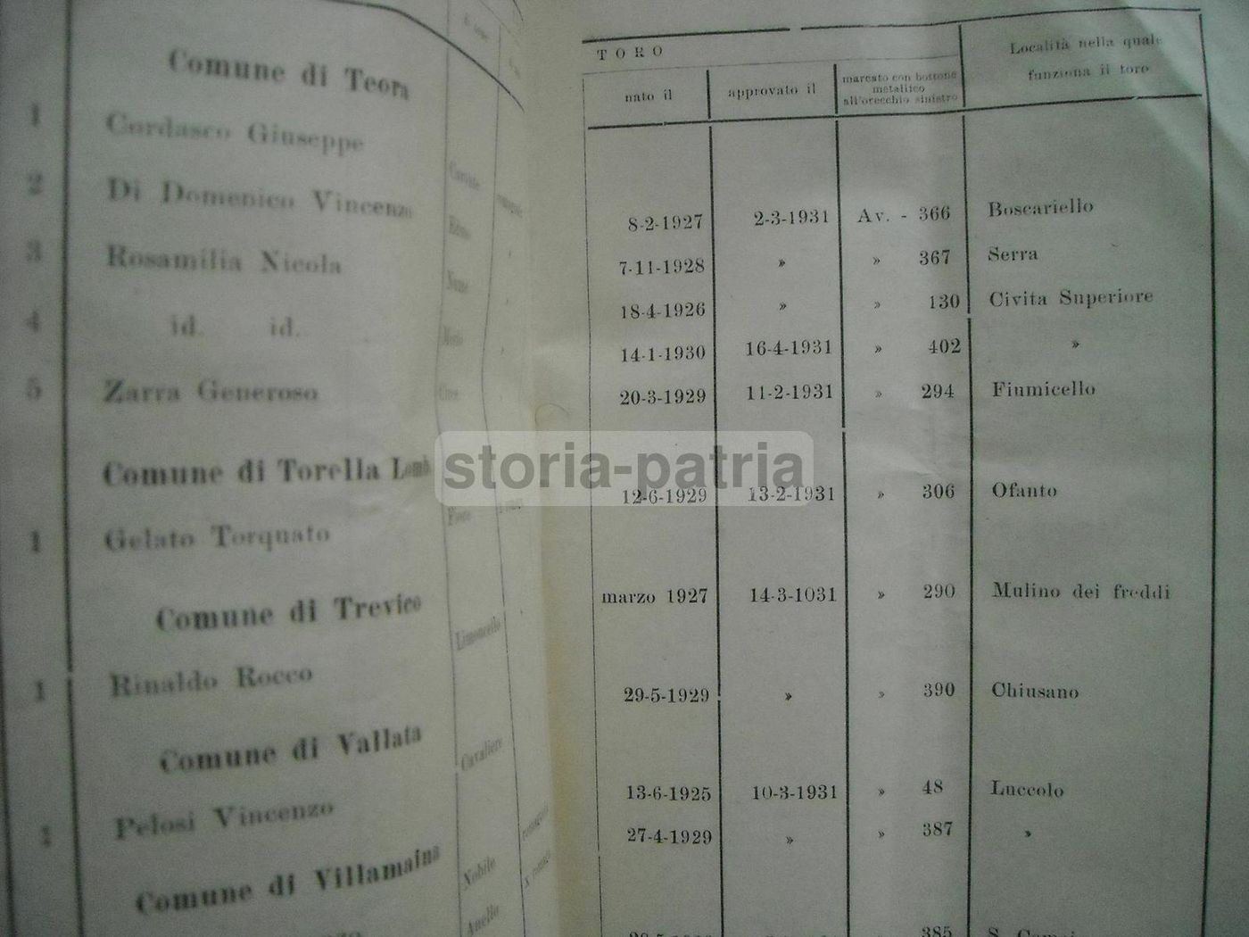 Elenco Generale Dei Tori Approvati Per La Monta, Provincia Di Avellino, 1931