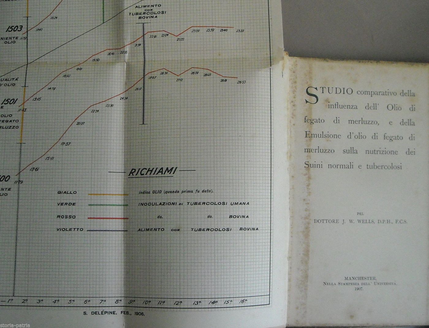 Wells: Studio Comparativo Sull'Olio Di Fegato Di Merluzzo Nella Nutrizione Dei Suini, Manchester 1907