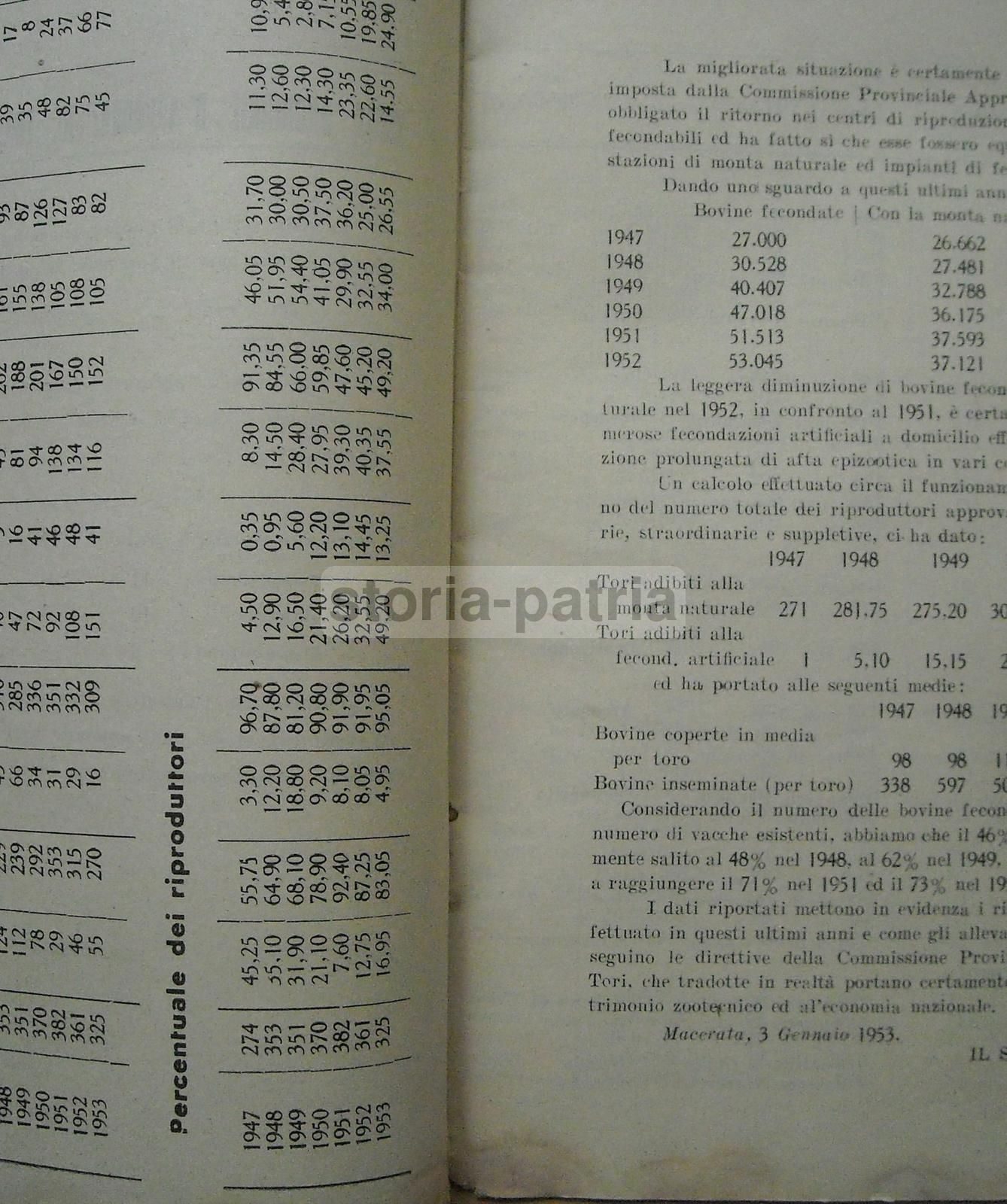 Elenco Tori Approvati Macerata 1953 Zootecnia Marche Proprietari