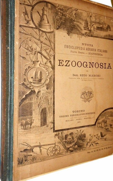 Ezoognosia Di Ezio Marchi (1901): Manuale Di Zootecnia Con Rare Tavole Anatomiche Mobili
