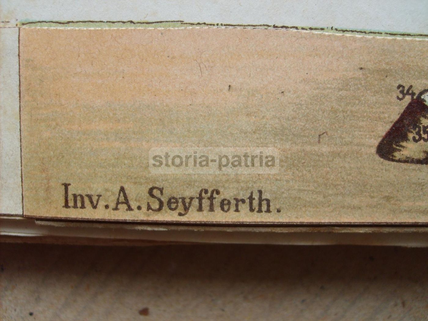 Ezoognosia Di Ezio Marchi (1901): Manuale Di Zootecnia Con Rare Tavole Anatomiche Mobili