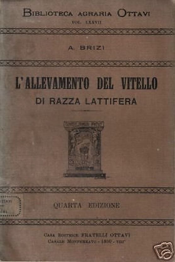 Allevamento Del Vitello Di Razza Lattifera, Brizi 1930, Ottavi