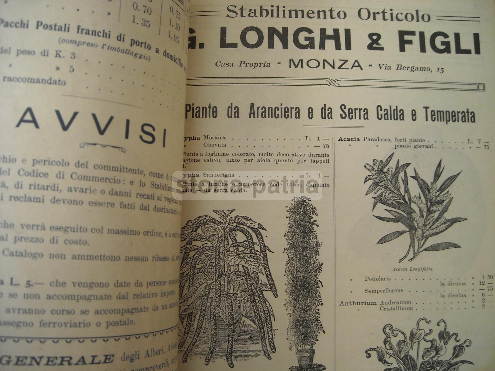 Agraria, Botanica, Piante, Fiori, Ortaggi, Catalogo Pubblicitario Illustrato, Longhi immagine 1