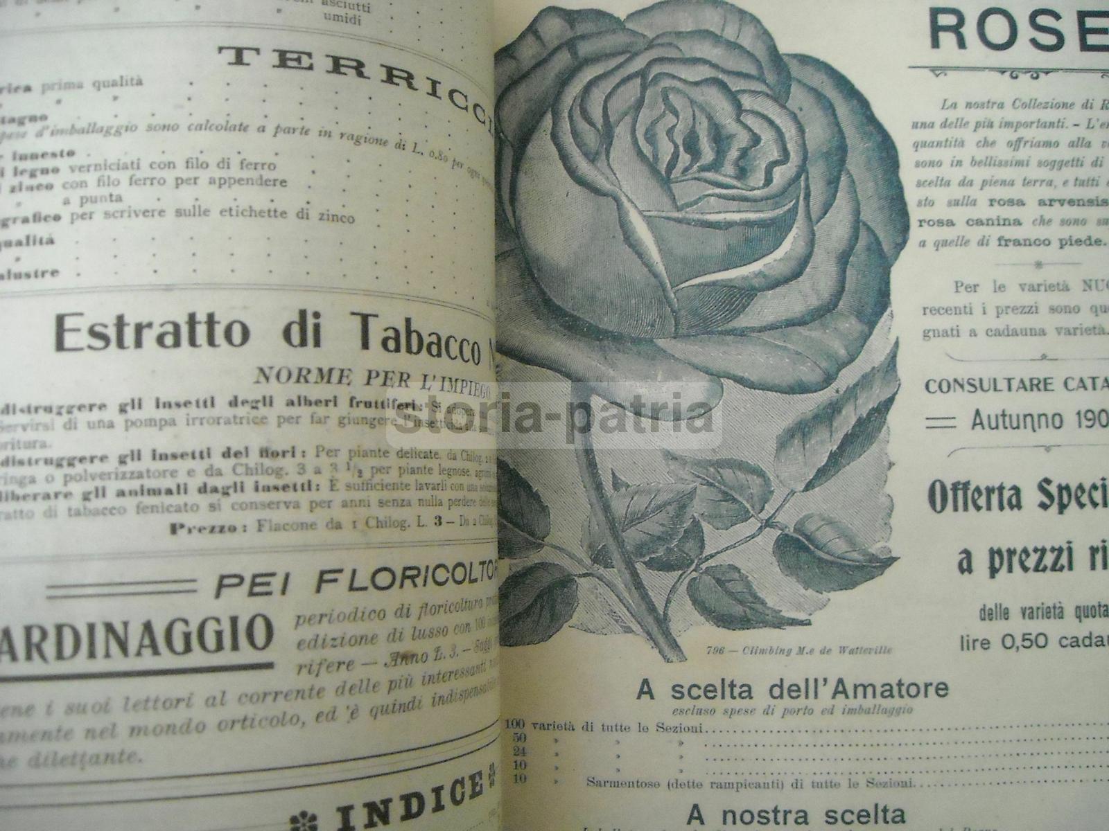 Agraria, Botanica, Piante, Fiori, Ortaggi, Catalogo Pubblicitario Illustrato, Longhi immagine 4
