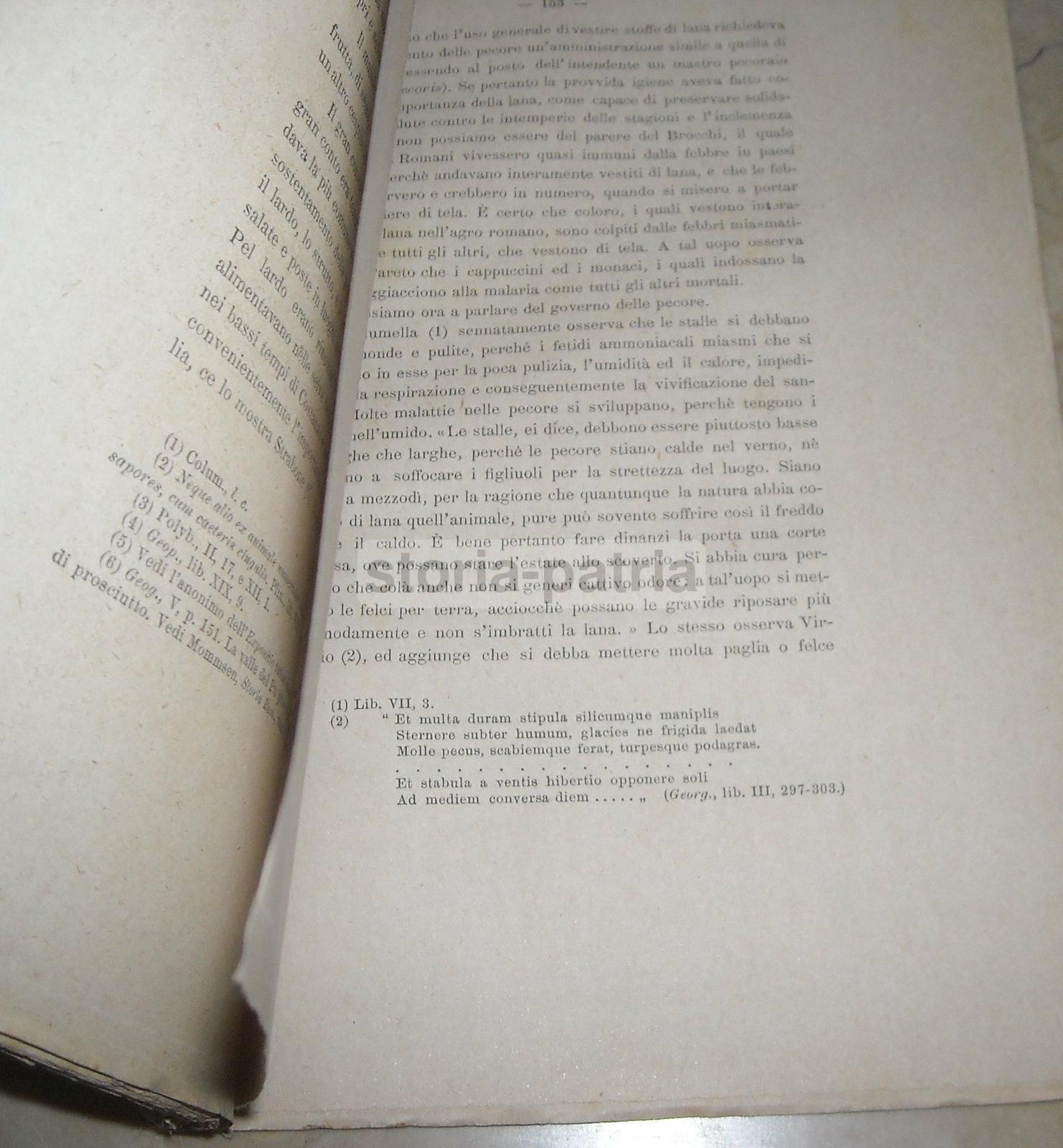 Agraria, Idraulica, Bonifica, Agro Romano, Sanitaria, Aria Malsana, Zootecnia, Bestiame immagine 3