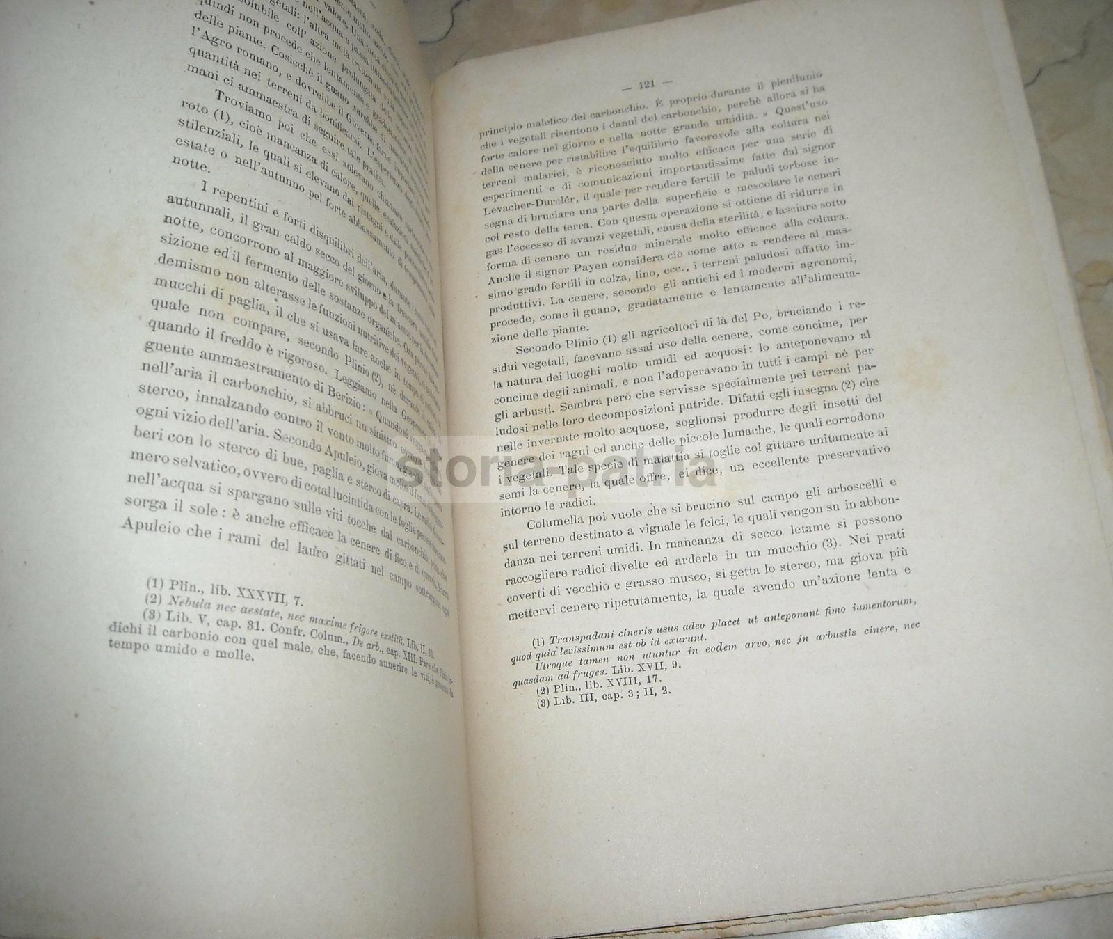 Agraria, Idraulica, Bonifica, Agro Romano, Sanitaria, Aria Malsana, Zootecnia, Bestiame immagine 4