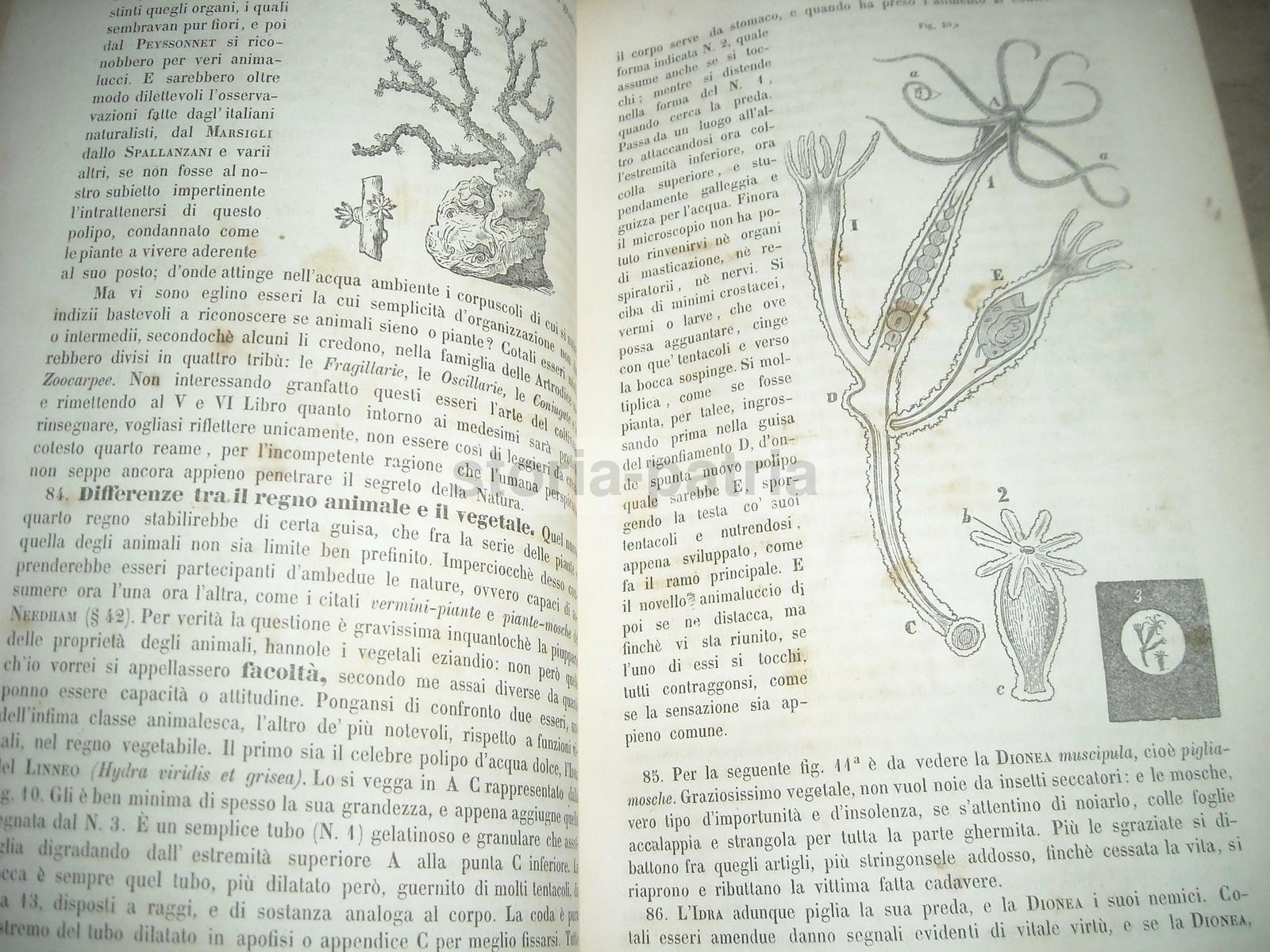 Agraria, Storia Naturale, Chimica, Fisica, Geologia, Mineralogia, Astronomia, Terreni immagine 5