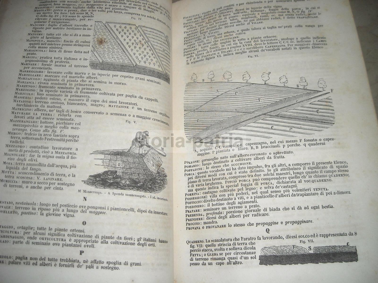 Agraria, Storia Naturale, Chimica, Fisica, Geologia, Mineralogia, Astronomia, Terreni immagine 6