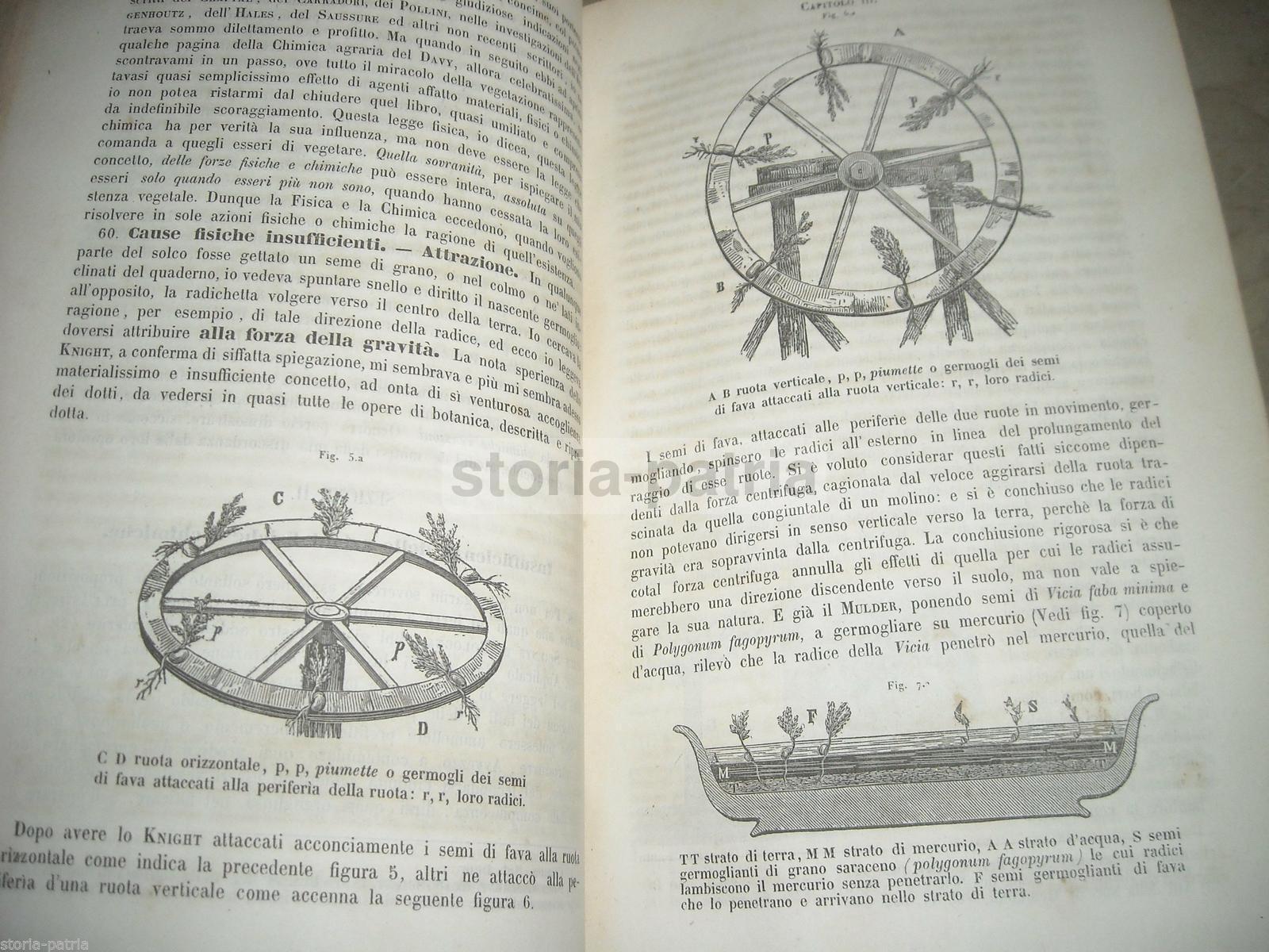 Agraria, Storia Naturale, Chimica, Fisica, Geologia, Mineralogia, Astronomia, Terreni immagine 11