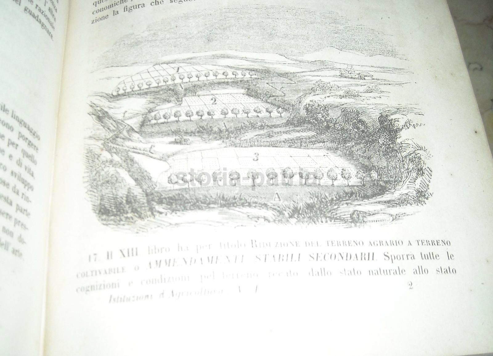 Agraria, Storia Naturale, Chimica, Fisica, Geologia, Mineralogia, Astronomia, Terreni immagine 17