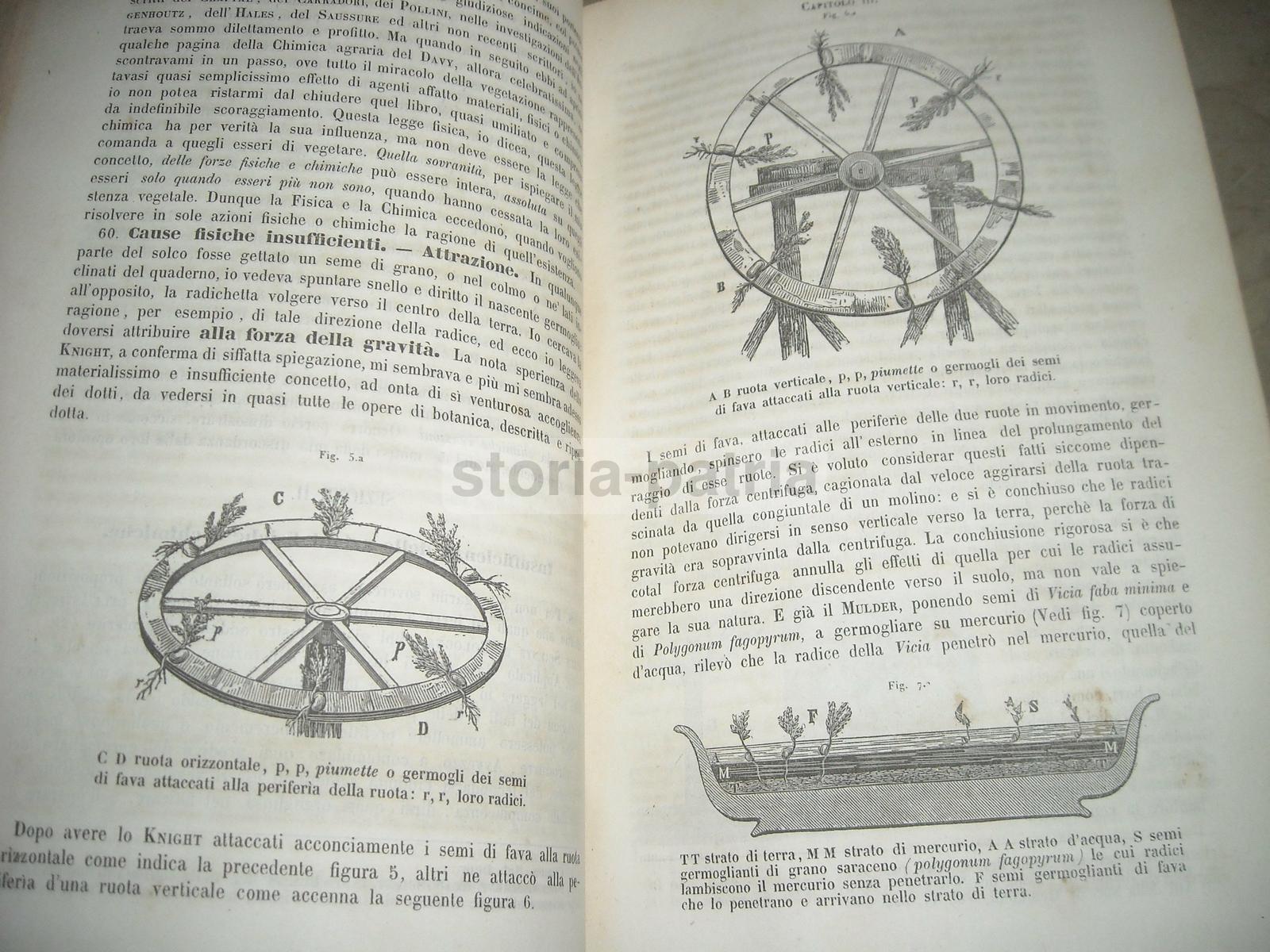 Agraria, Storia Naturale, Chimica, Fisica, Geologia, Mineralogia, Astronomia, Terreni immagine 20