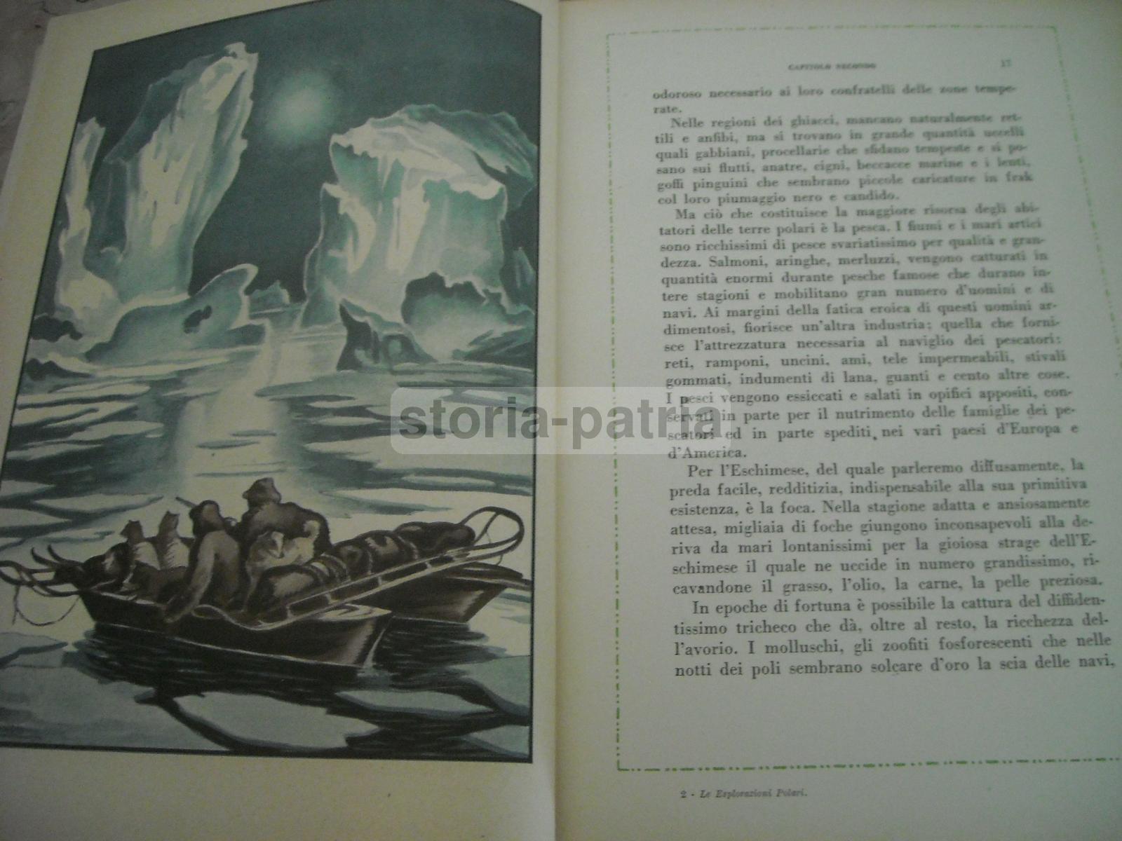 Viaggi, Esplorazioni, Polo Nord, Polo Sud, Esploratori, Dirigibili, Illustrato immagine 18