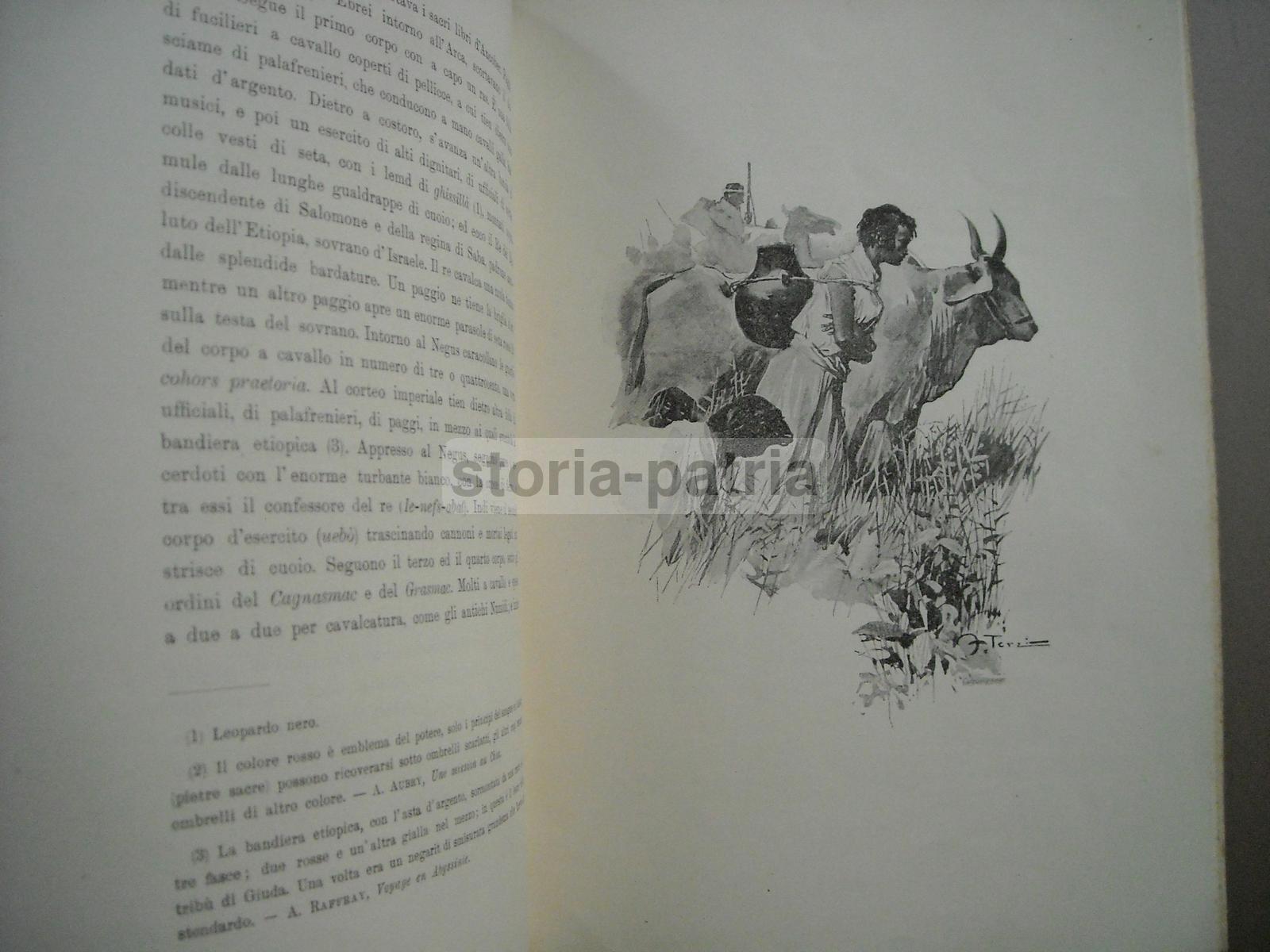 Viaggi, Folklore, Africa, Abissinia, Militaria, Esercito Abissino, Arte, Dalbono, Terzi immagine 6