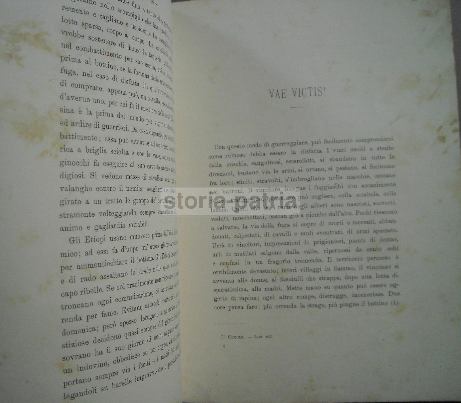 Viaggi, Folklore, Africa, Abissinia, Militaria, Esercito Abissino, Arte, Dalbono, Terzi immagine 9