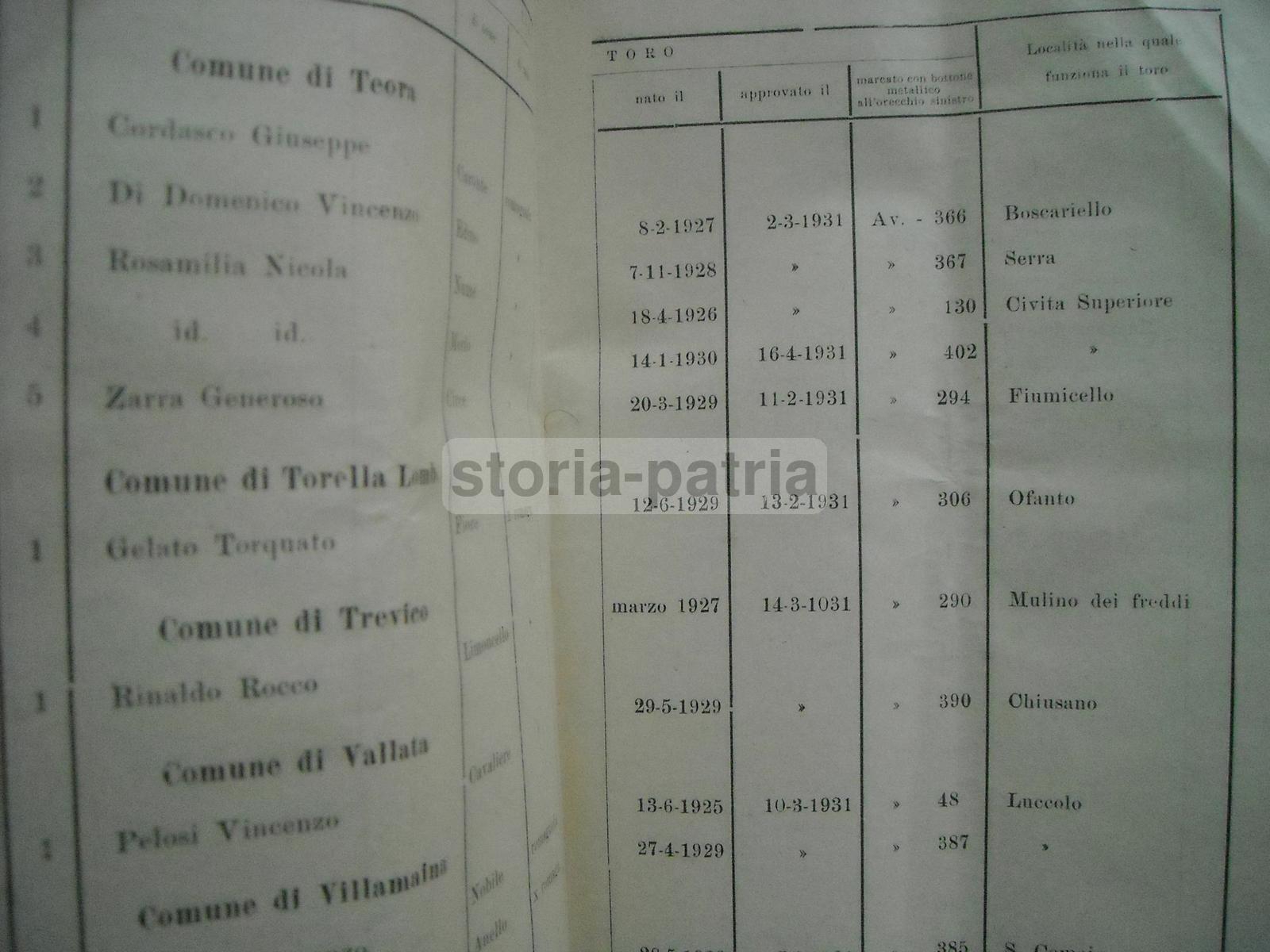 Zootecnia, Elenco Dei Tori Da Monta, Irpinia, Nomi Dei Proprietari, Numerosi Paesi immagine 3