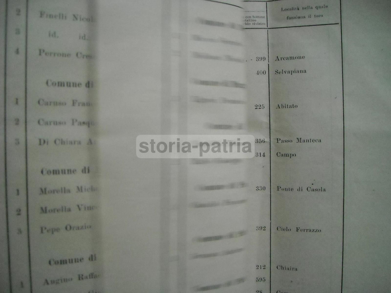 Zootecnia, Elenco Dei Tori Da Monta, Irpinia, Nomi Dei Proprietari, Numerosi Paesi immagine 4